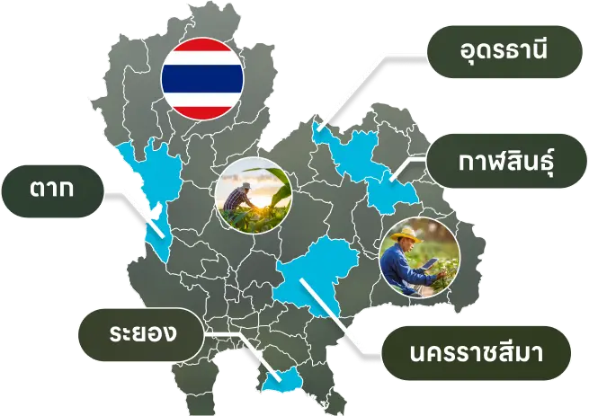 Core Value of Farmers in Thailand